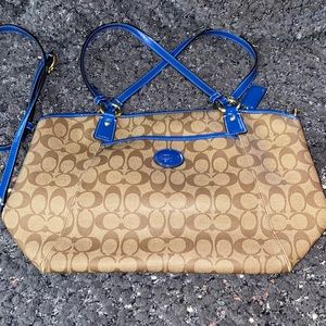 Brown Coach with Royal Blue Accents